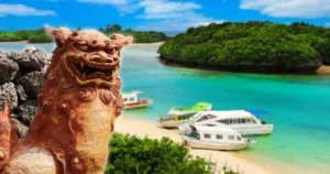 whale watching in japan